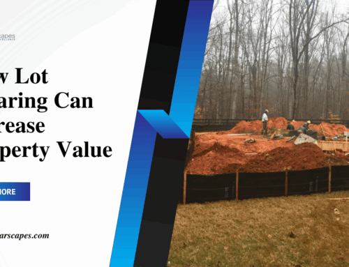 How Lot Clearing Can Increase Property Value