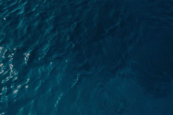 Deep Blue Harbor - Image 2